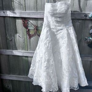 Galina Tee length Wedding/Special Occassion Dress